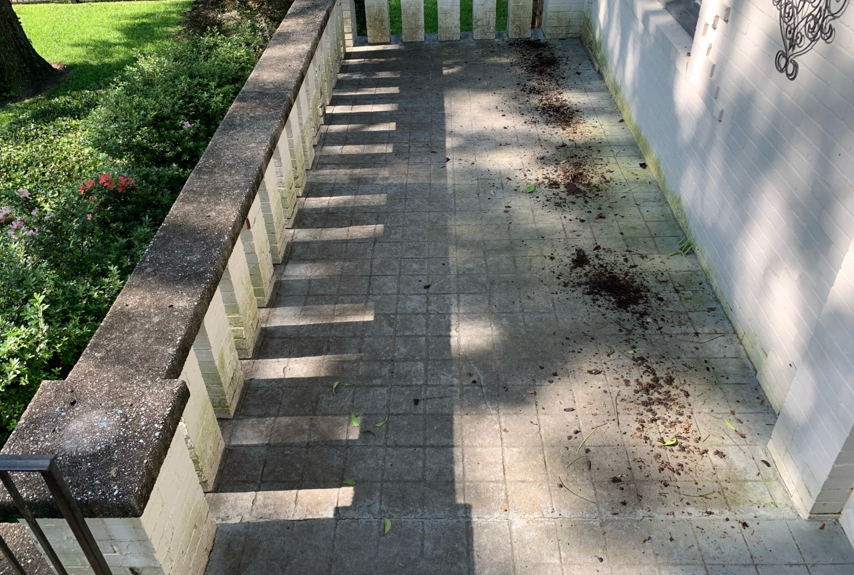 Stone patio cleaning before
